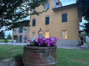 Paradiso verde